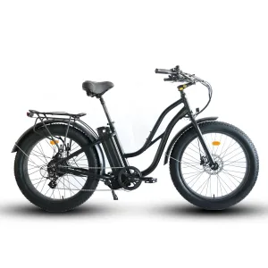Coastal Cruiser 52V 750W Fat Tire Step Thru-Beach Cruiser Electric Bike