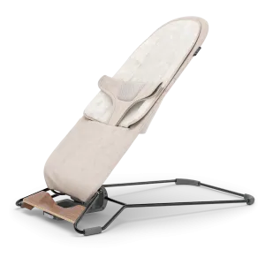 Mira 2-in-1 Bouncer and Seat