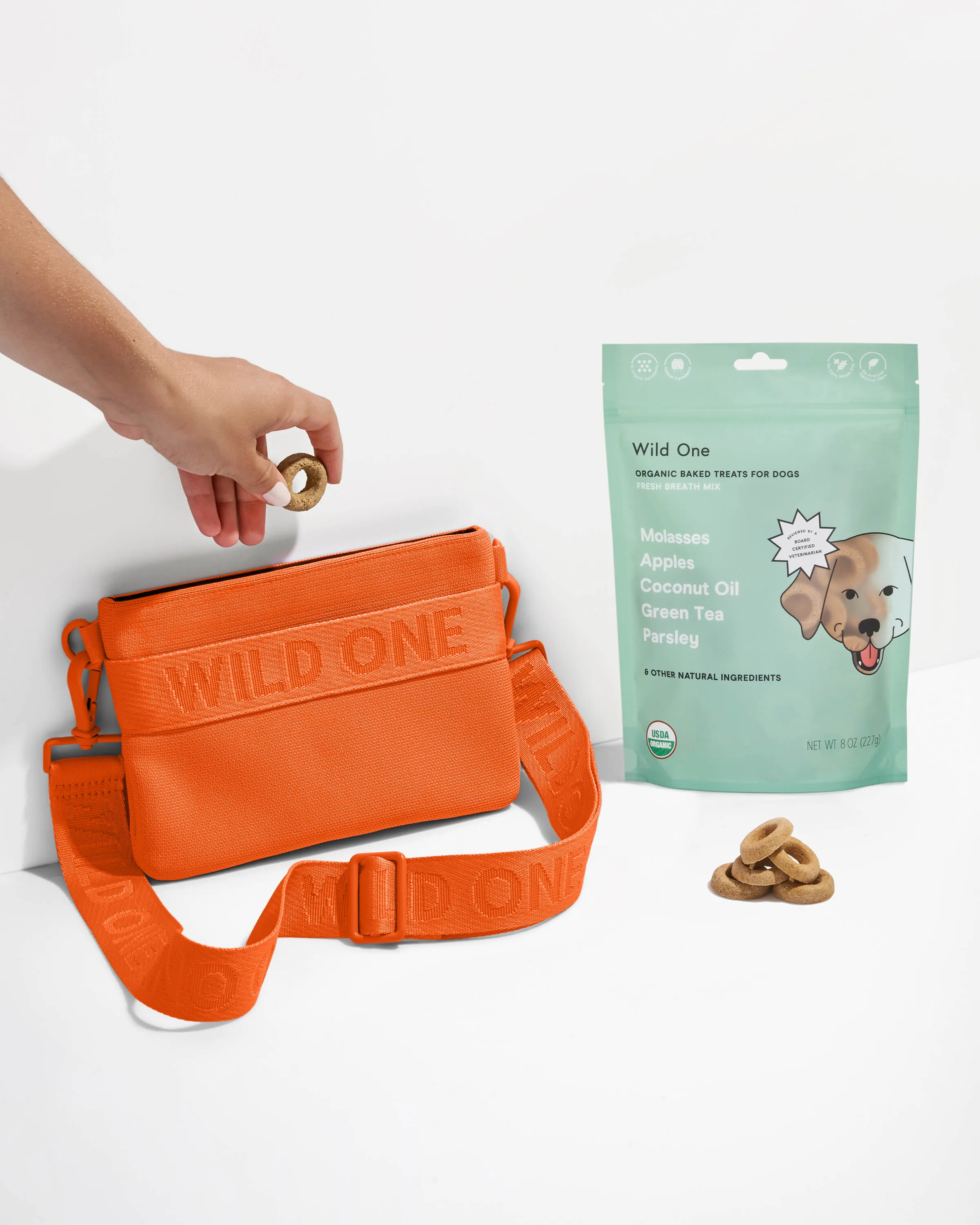 Treat Pouch Kit