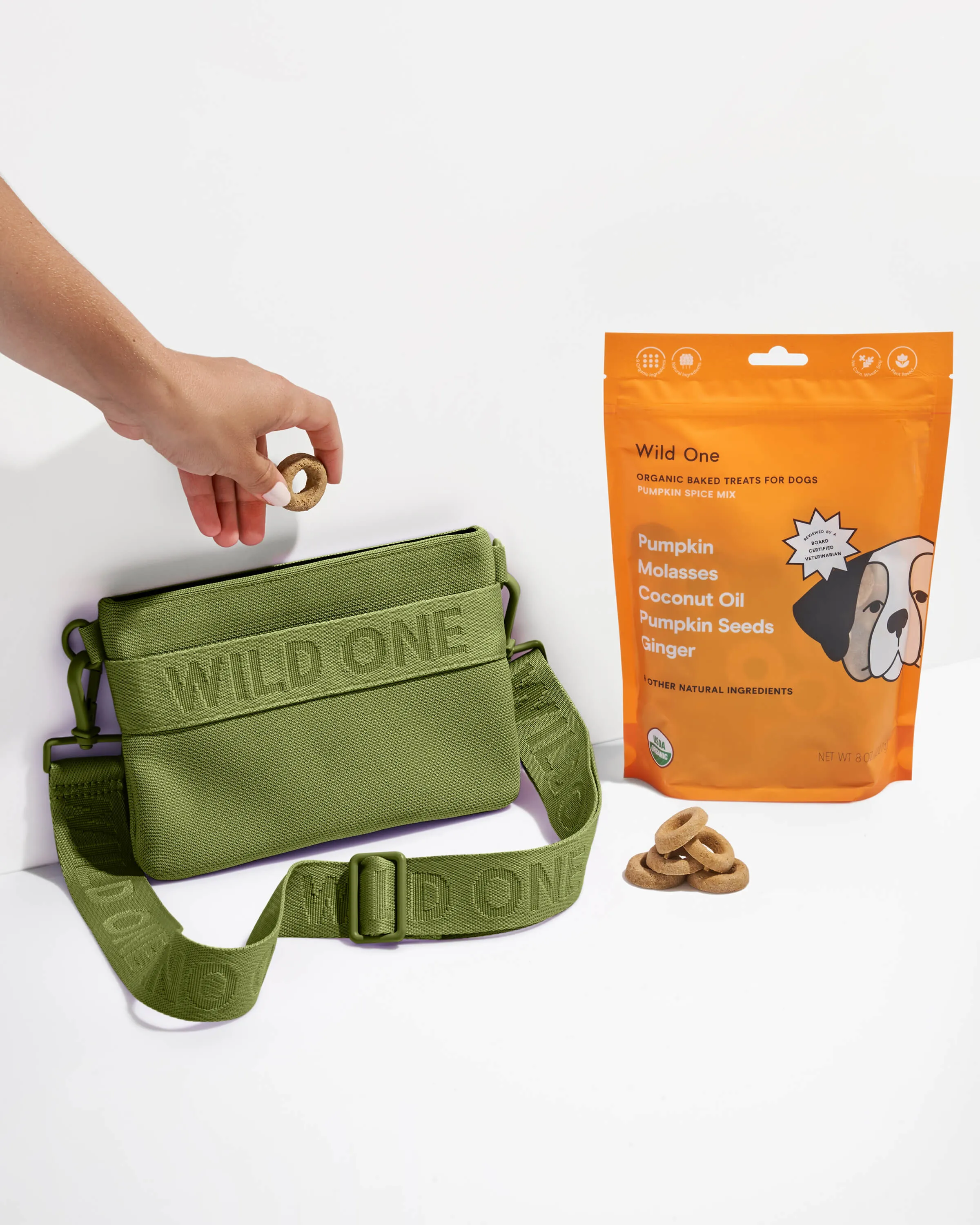 Treat Pouch Kit