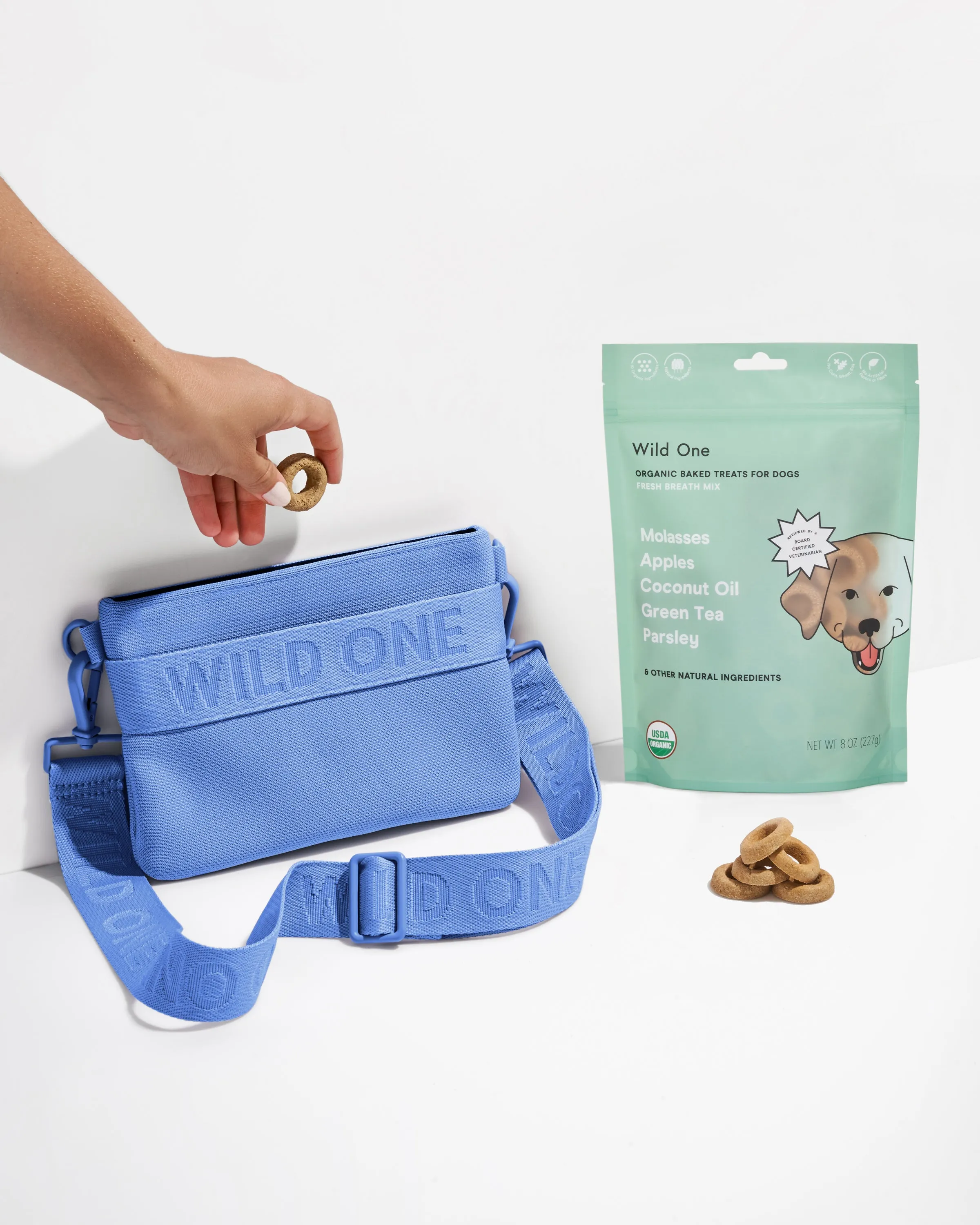 Treat Pouch Kit