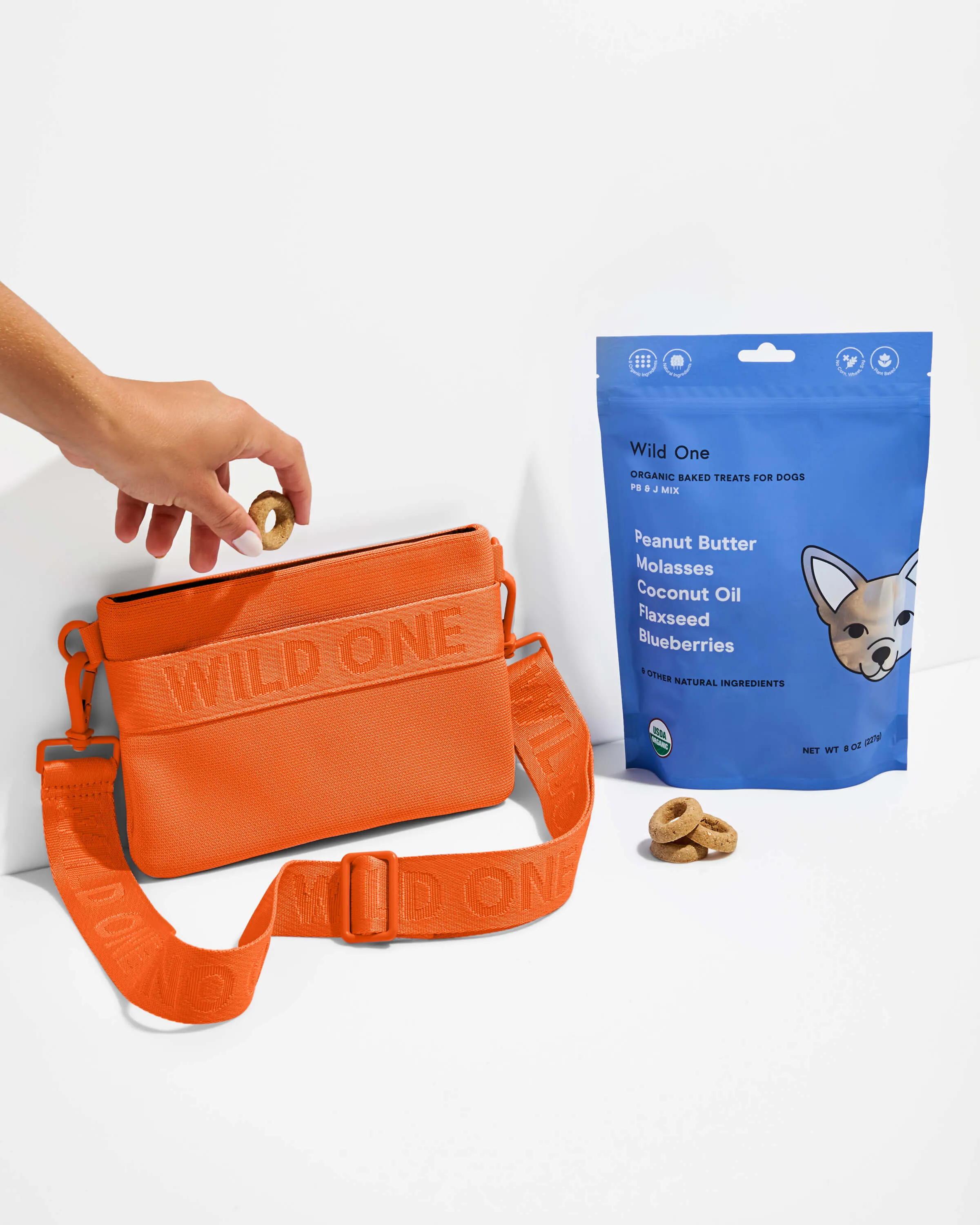 Treat Pouch Kit