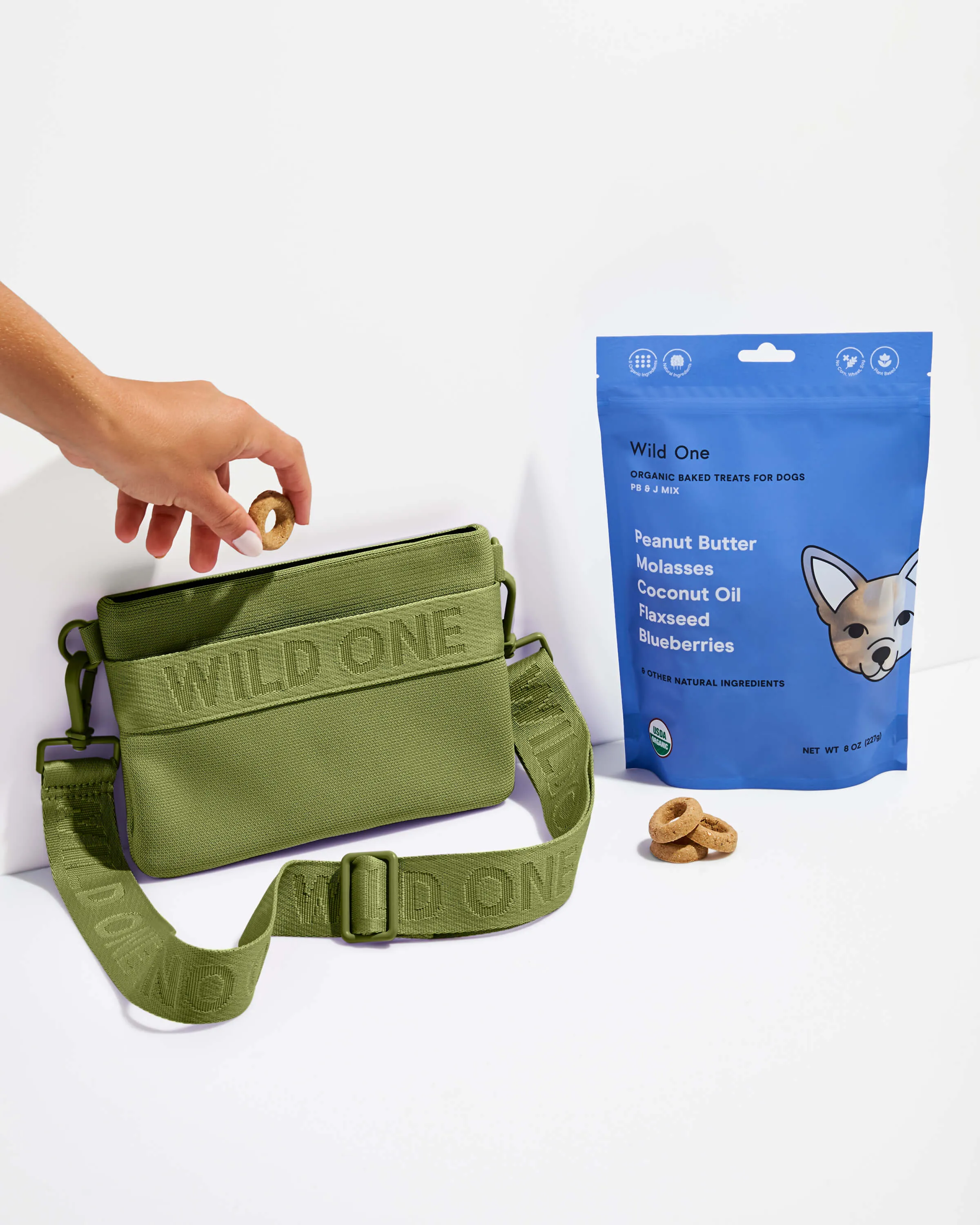 Treat Pouch Kit