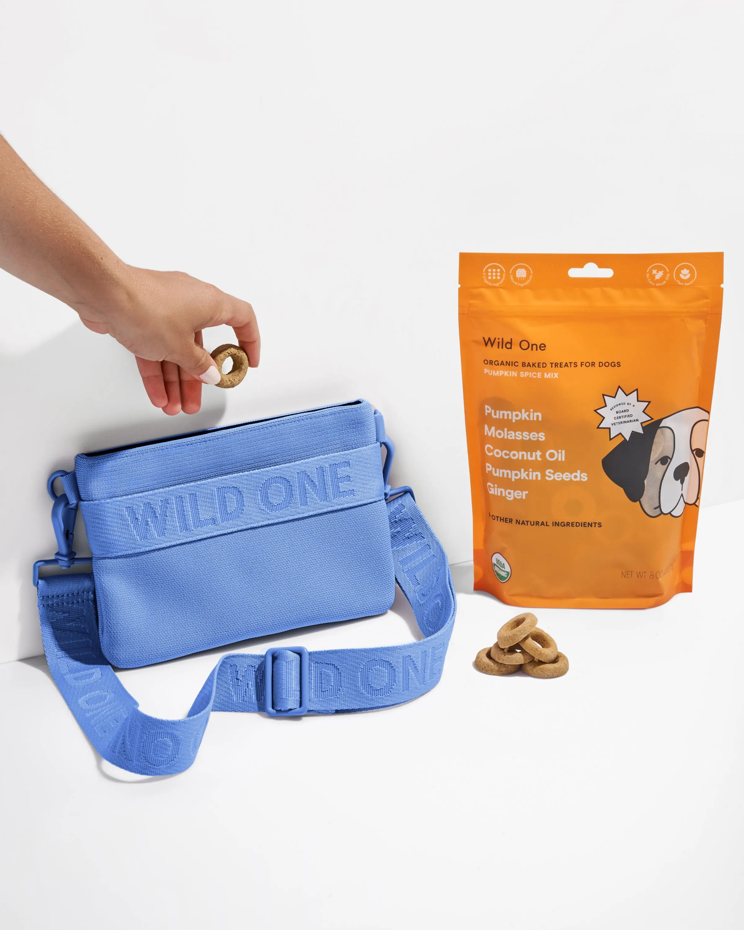 Treat Pouch Kit