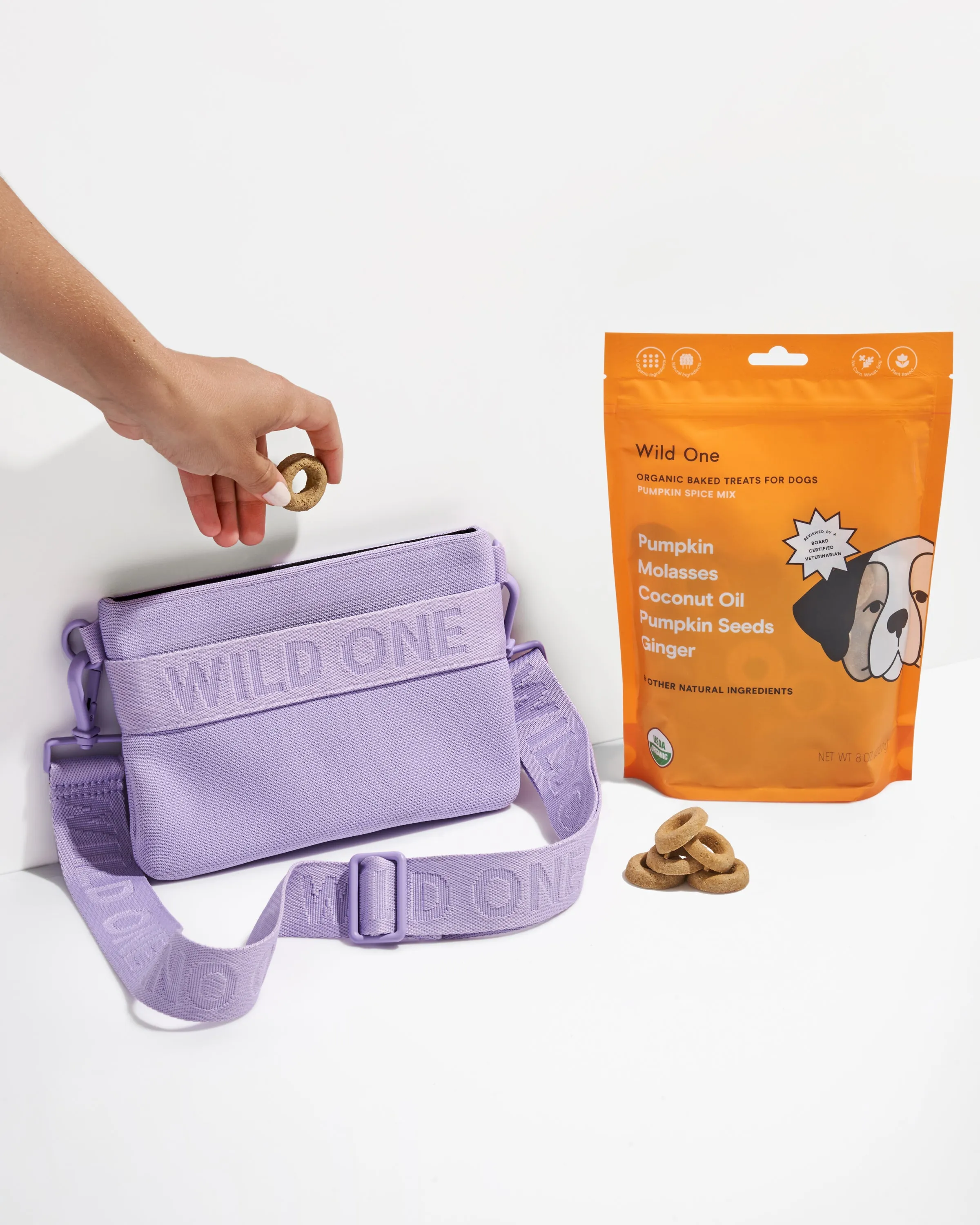 Treat Pouch Kit