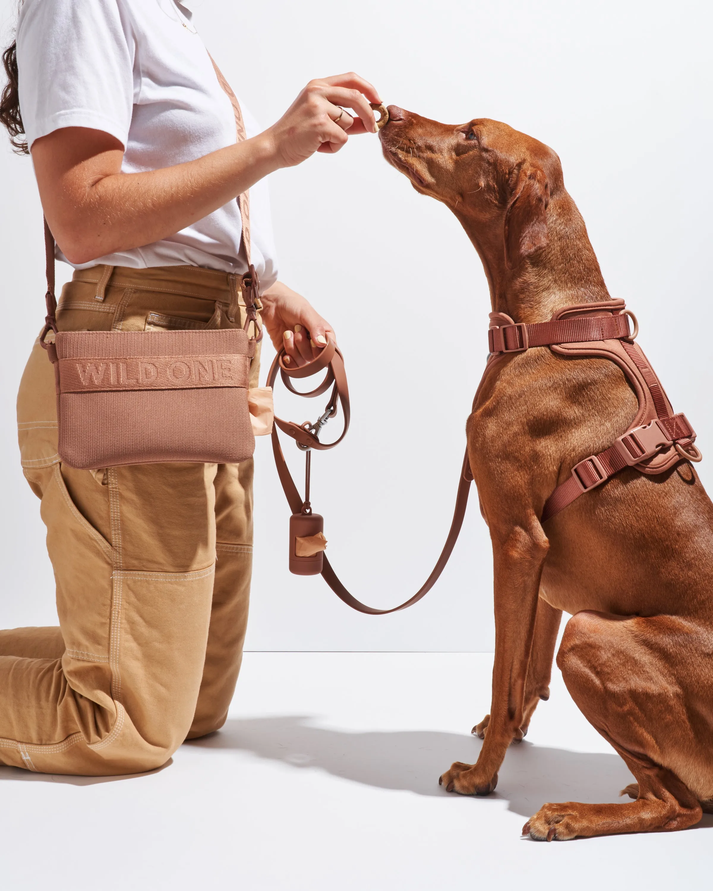 Treat Pouch Kit