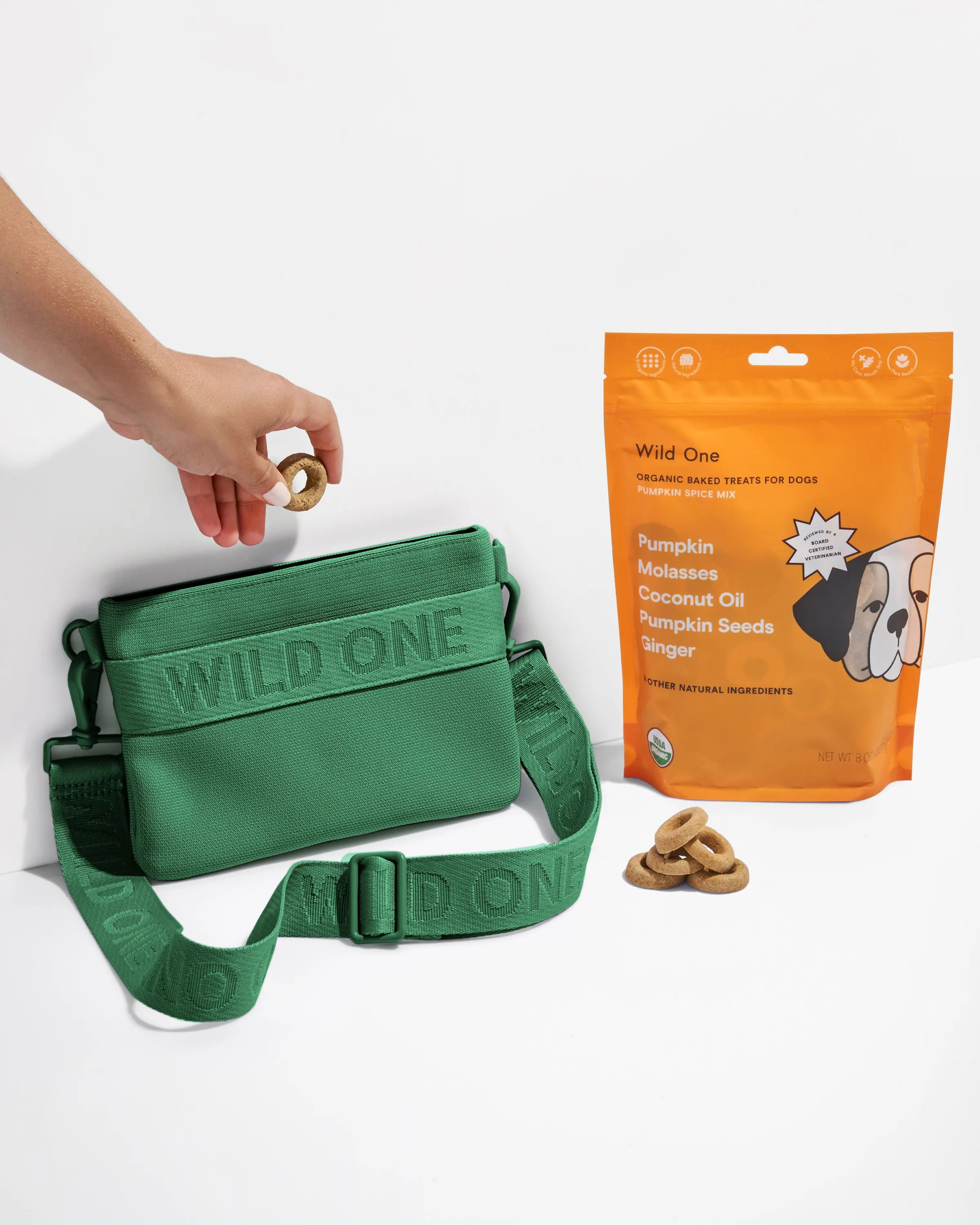 Treat Pouch Kit