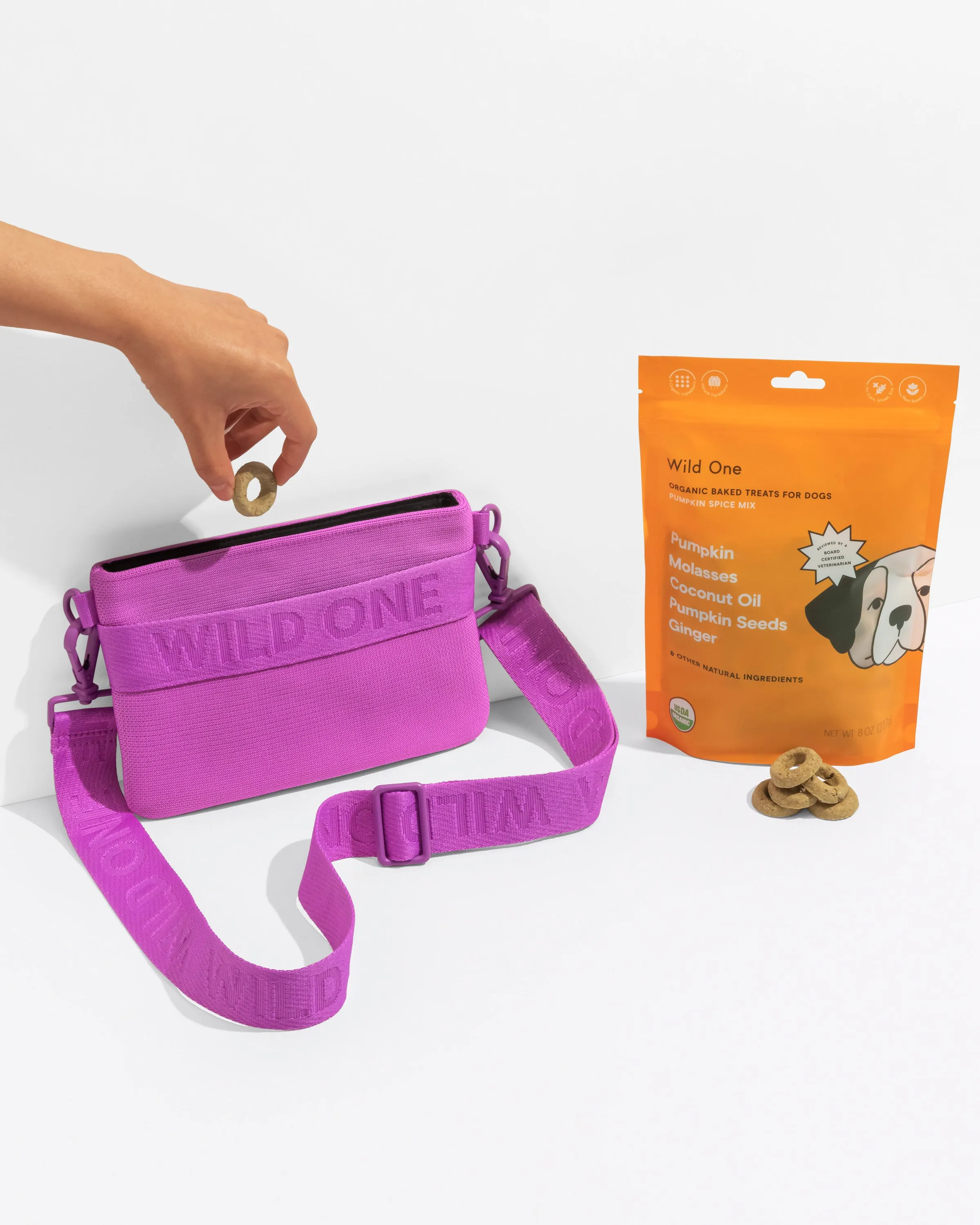 Treat Pouch Kit