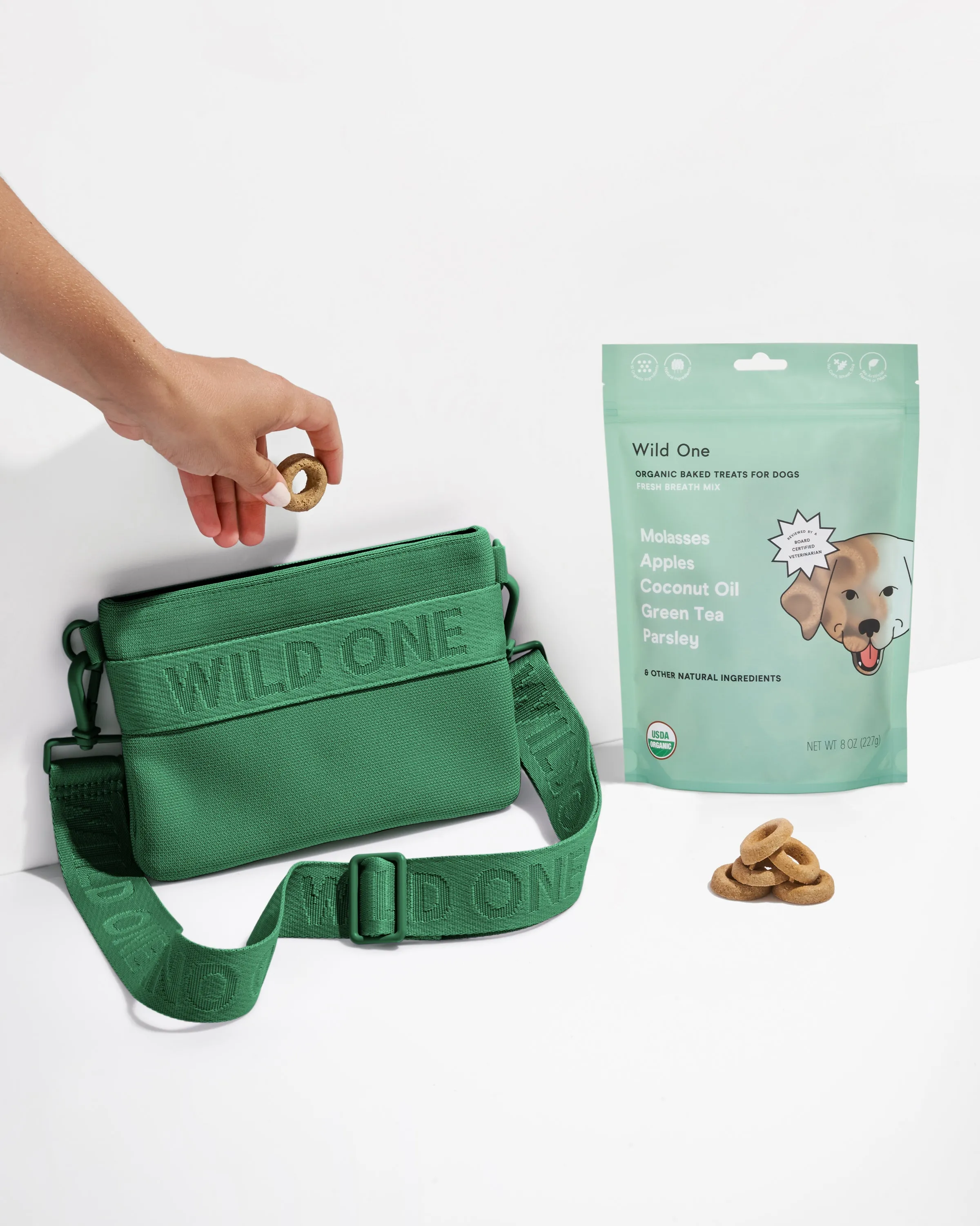 Treat Pouch Kit