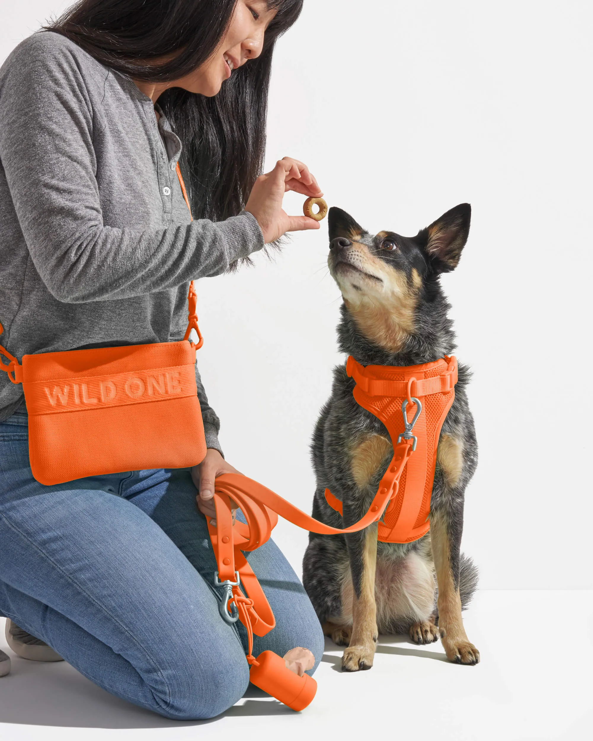 Treat Pouch Kit