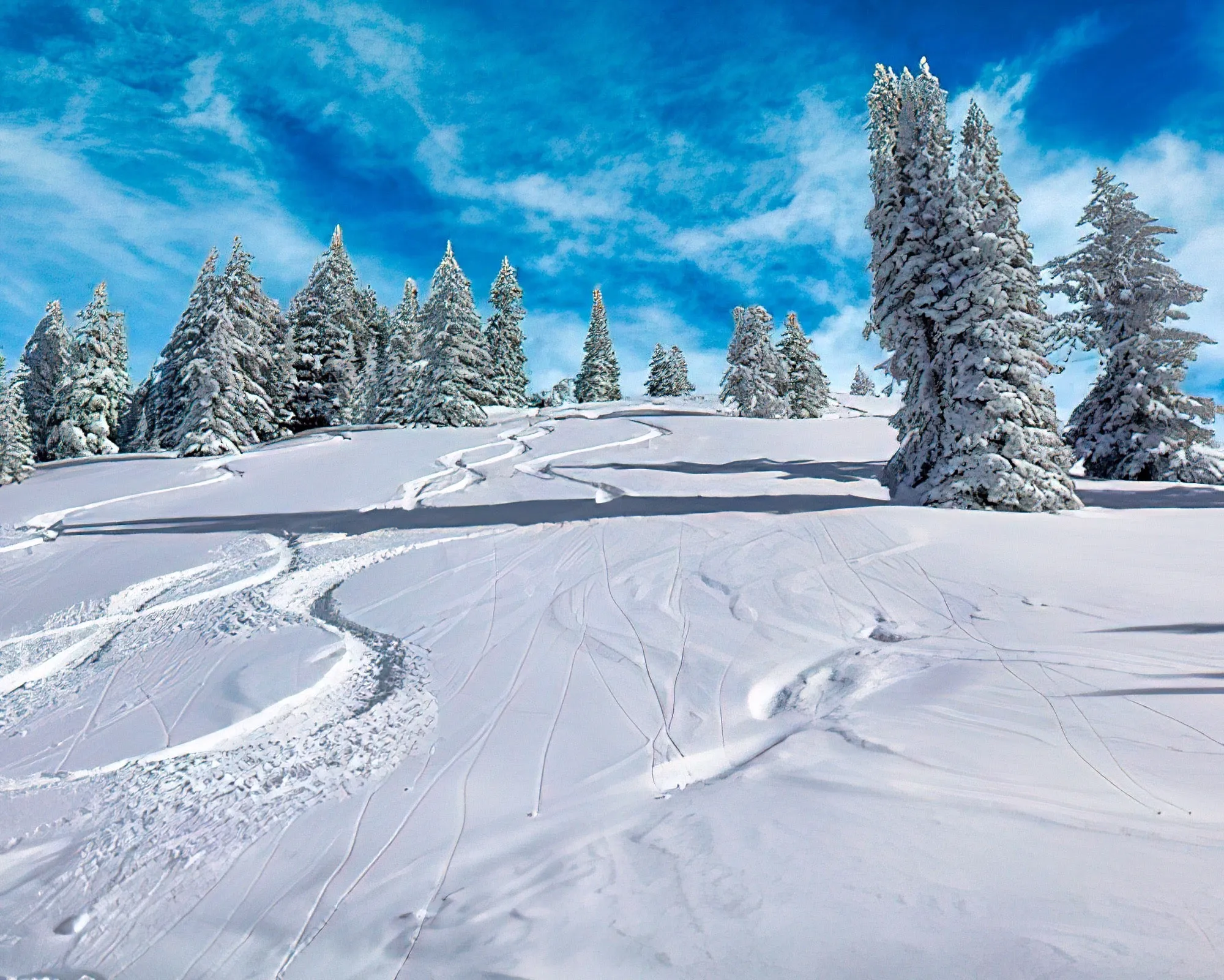 Vail Run Resort
